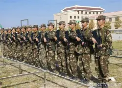战术指挥，名帅智谋启航