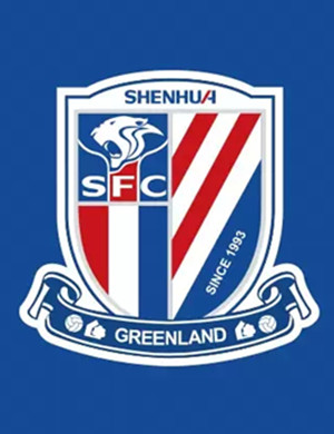 上海绿地申花客场战平河南建业，客场逼平的简单介绍