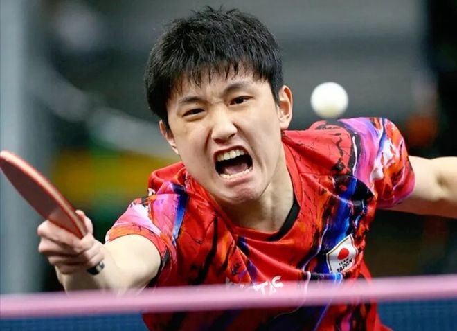 包含日本队轻取法国队，张本智和点燃赛场的词条